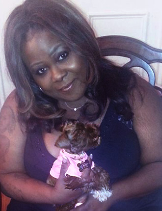 Puppy Schnauzer Resting