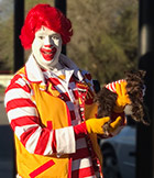 Ronald MCDonald and Sundae Service Schnauzer