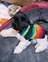 schnauzer thumbnail