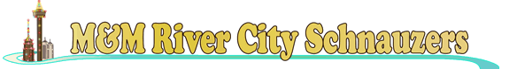 M&M River City Schnauzers
